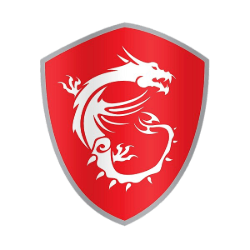MSI